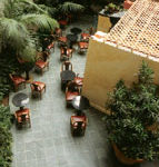 Plants in lobby