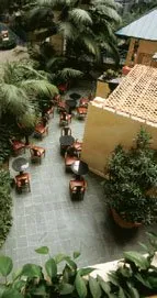 Plants in lobby