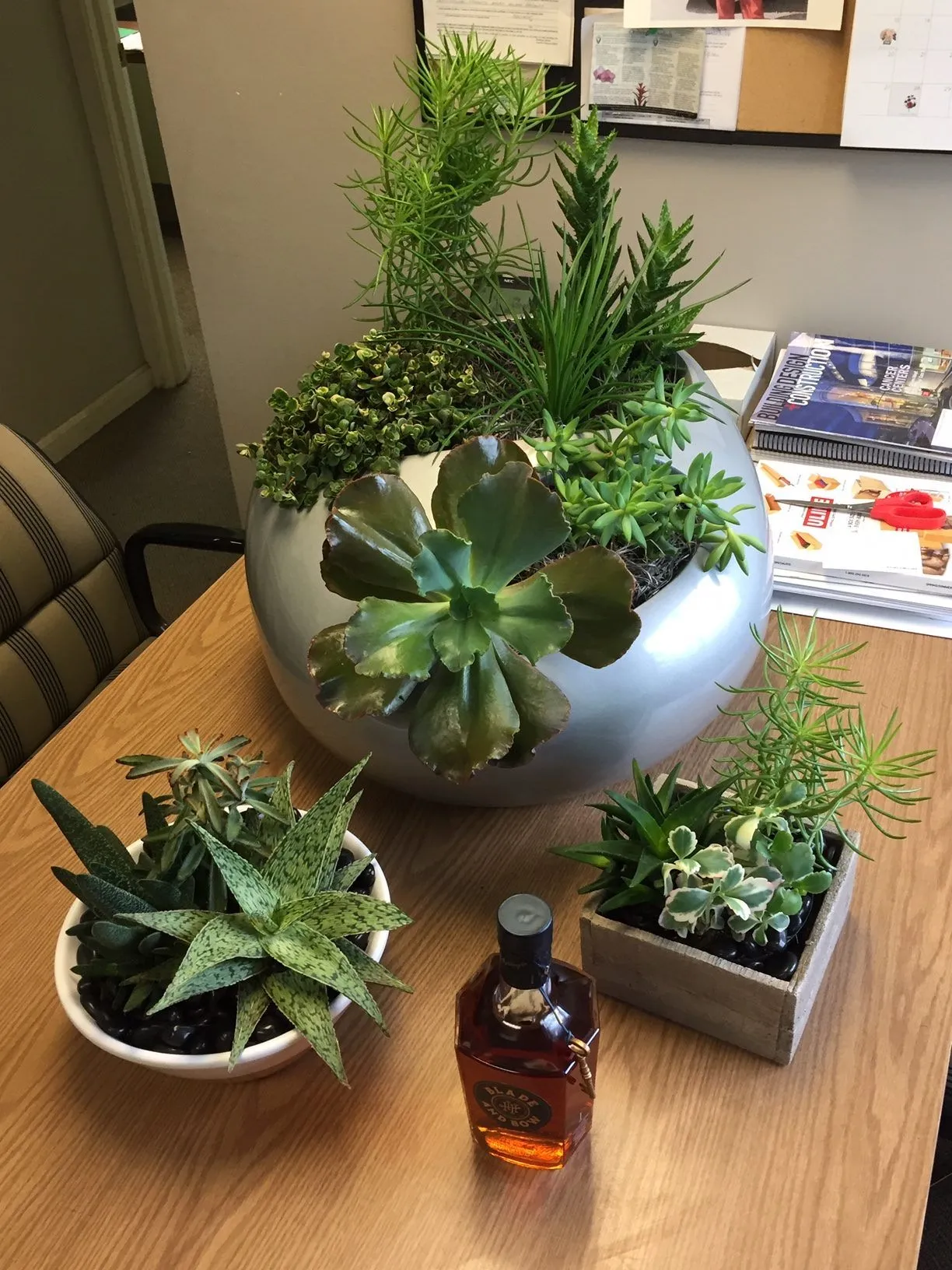 Interior Plants in Louisville, KY