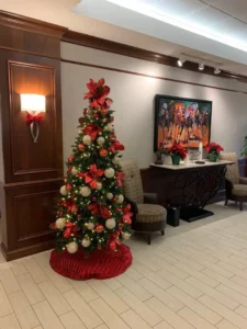 Commercial Christmas Decorating