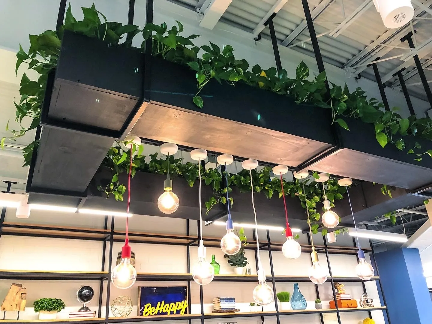 Indoor Plants in Louisville, KY
