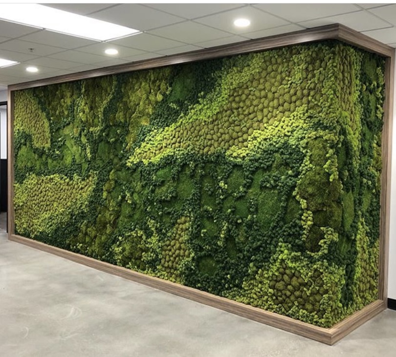 Moss Wall in Louisville, KY