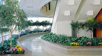 Interior Plant Services