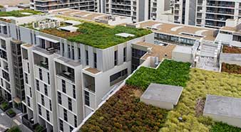 Green Roofs