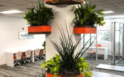 How to Make Your Office More Environmentally Friendly