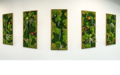 Incorporating Plants Into Your Interior Design: Benefits & Tips