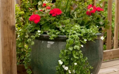 How Containerscaping Can Help Your Business