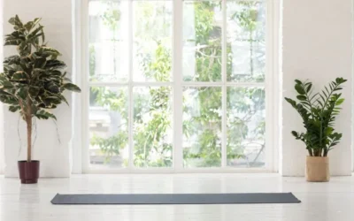 Creating a Tranquil Atmosphere with Indoor Plants: Best Varieties for Stress Relief
