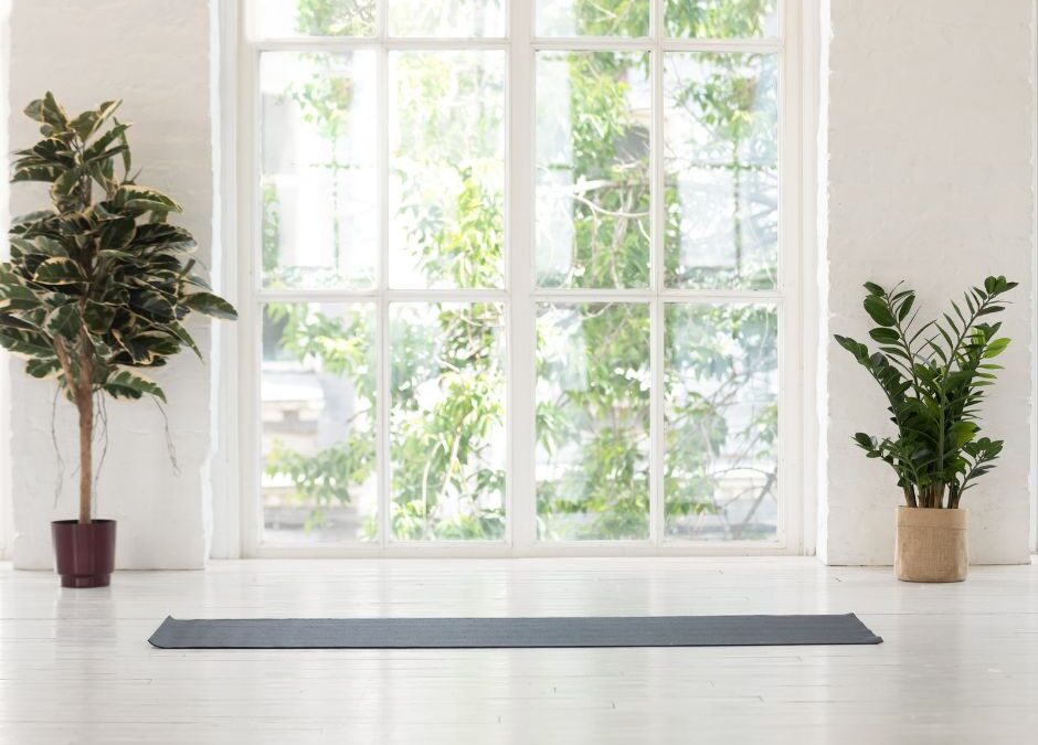 Creating a Tranquil Atmosphere with Indoor Plants: Best Varieties for Stress Relief