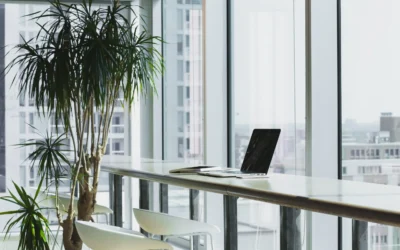 The Power of Office Plants: Boosting Productivity and Uplifting Moods