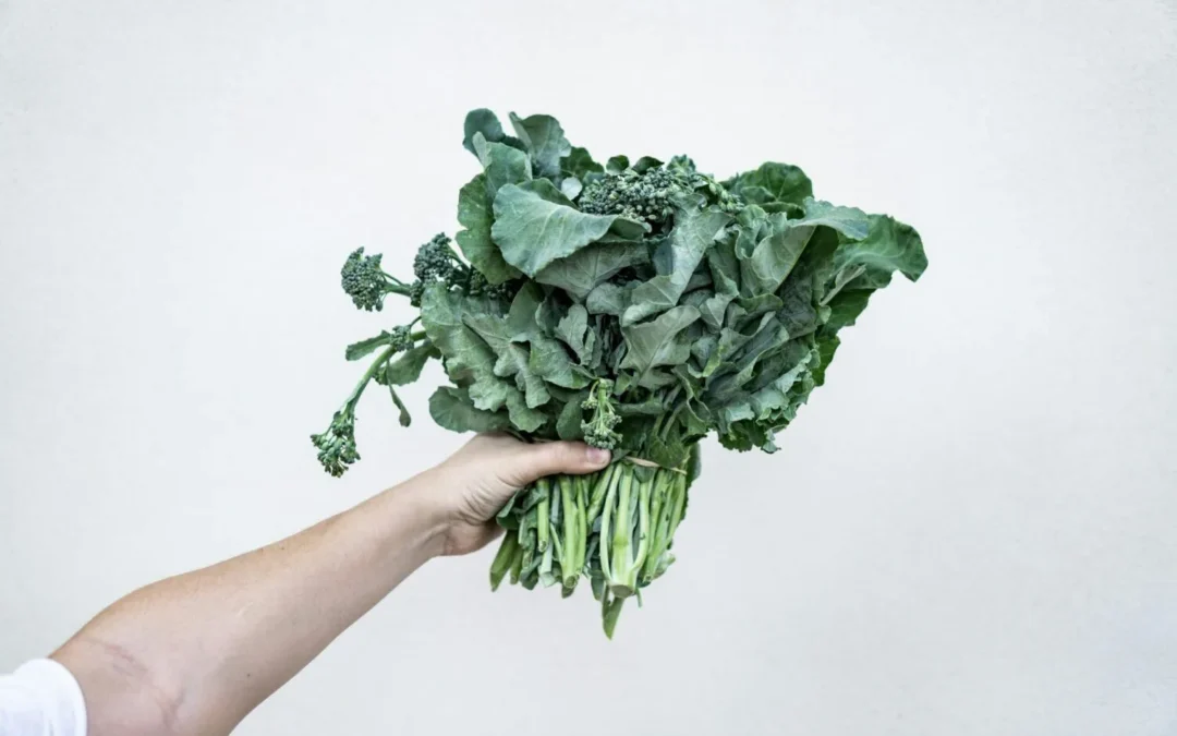 vegetables to plant in early spring