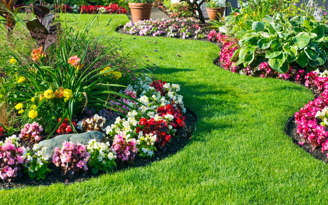 Celebrate National Gardening Month with a Fresh Start!