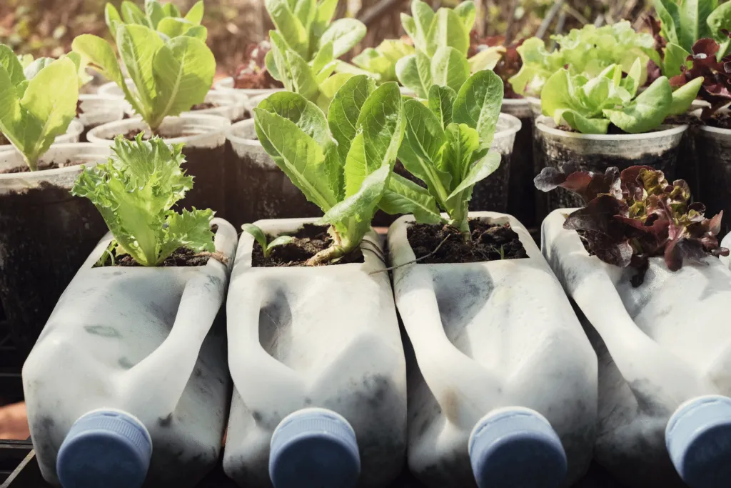container gardening