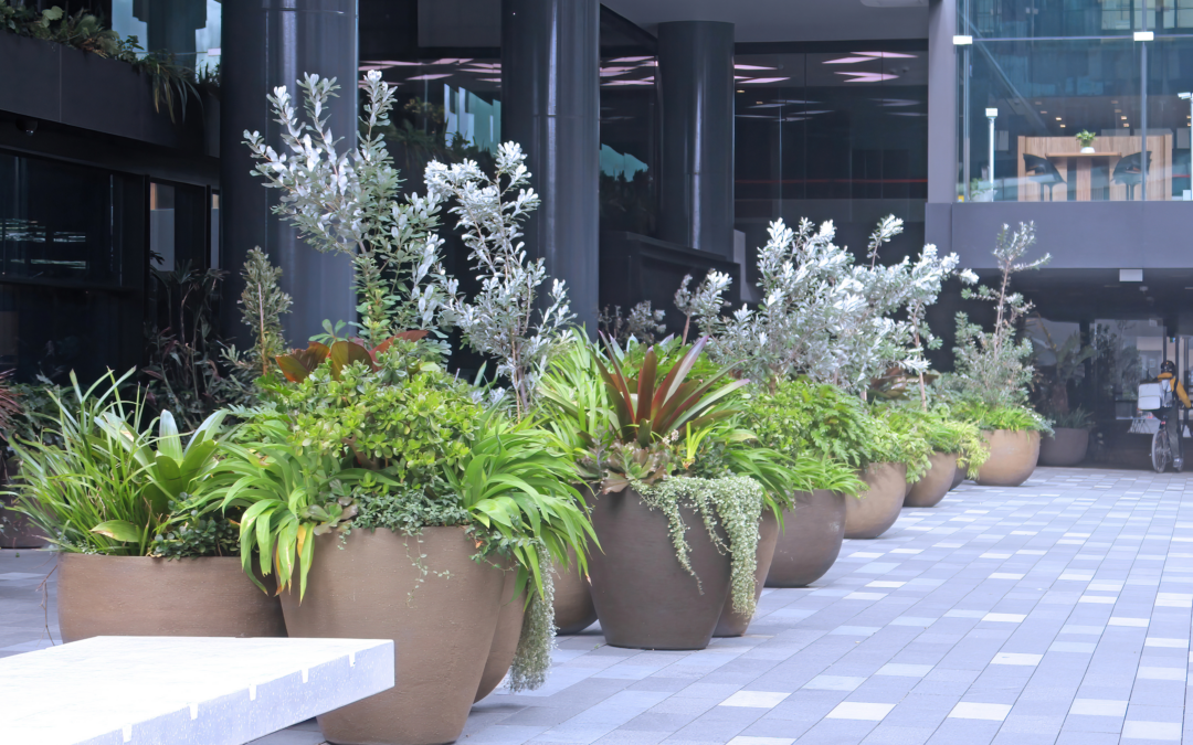 Containerscaping: Small Spaces, Big Impact