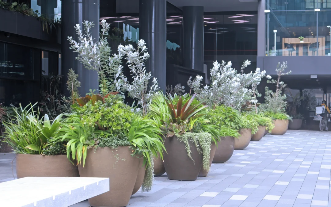 Containerscaping: Small Spaces, Big Impact