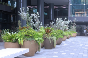 container gardening