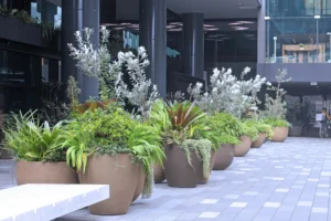 container gardening