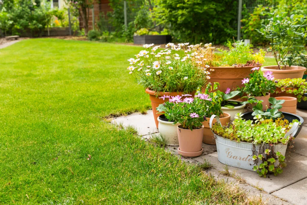 container gardening