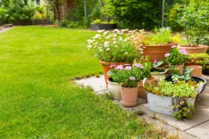 container gardening