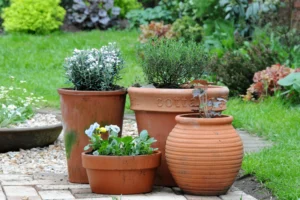 container gardening