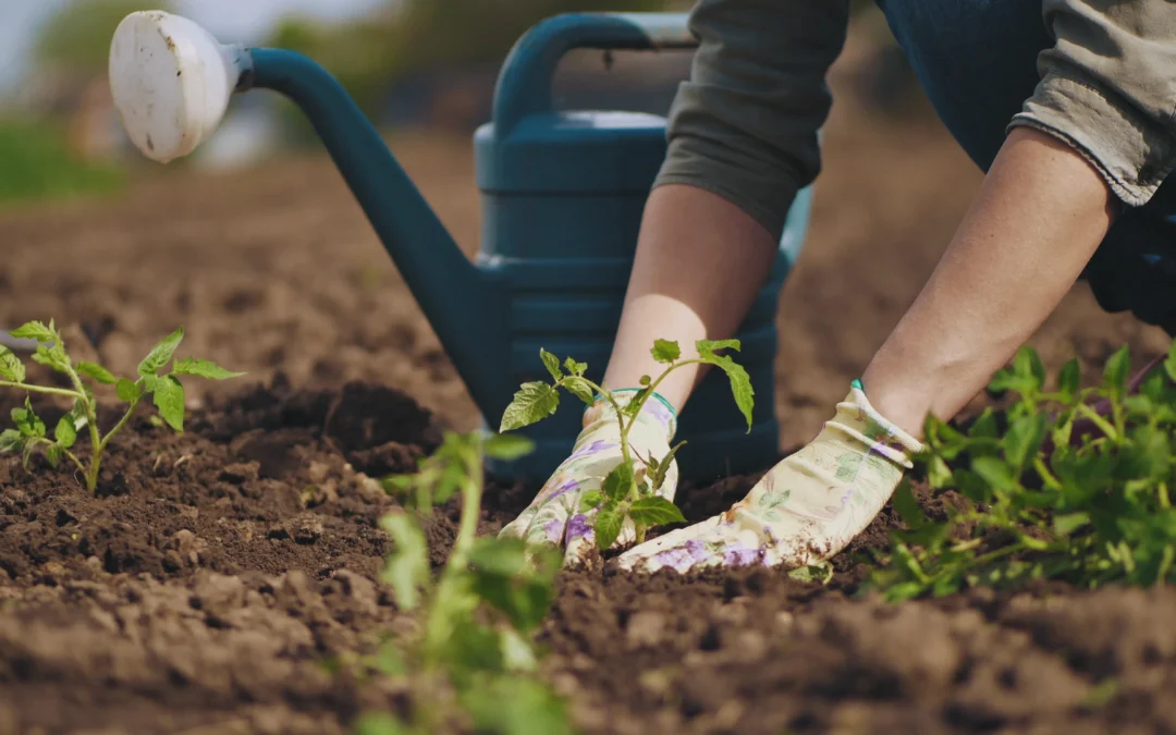 National Gardening Week