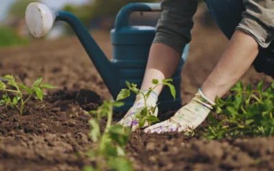 National Gardening Week