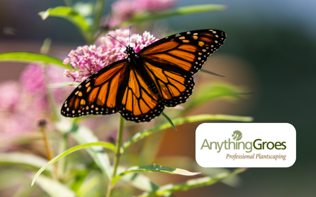 Discovering Kentucky’s Native Pollinators