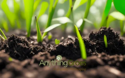 When and How to Lay Sod and Plant Grass Seed in Kentucky
