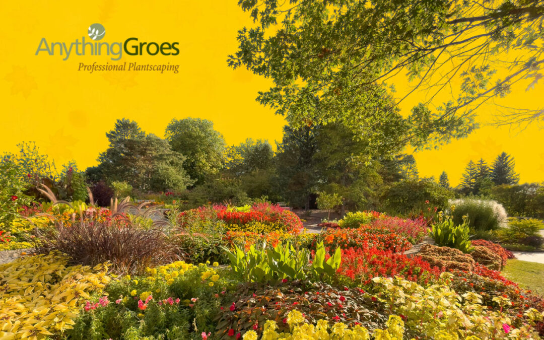 Fall Gardening Hacks: Preparing Your Yard for a Stunning Spring
