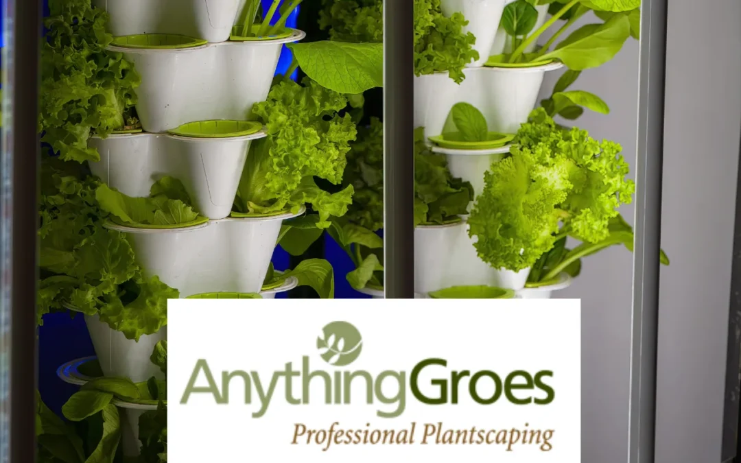 Vertical Gardening: Maximizing Greenery in Small Spaces