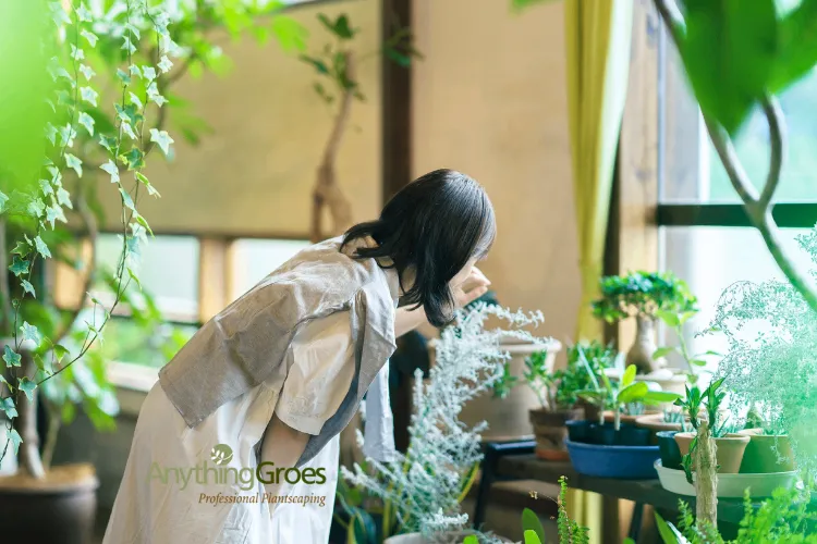 Winter Gardening Wonders: How to Create a Year-Round Green Oasis