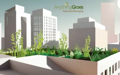 Green Roofs: A Sustainable Solution for Urban Living