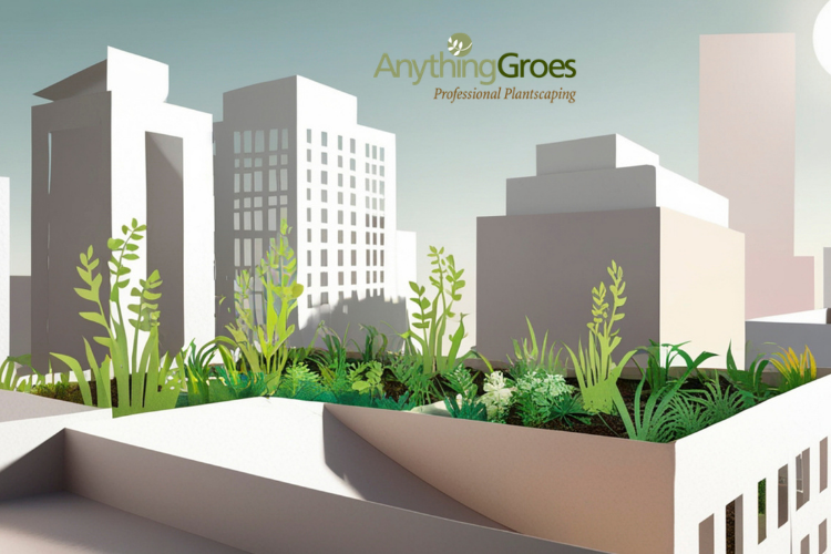 Green Roofs: A Sustainable Solution for Urban Living
