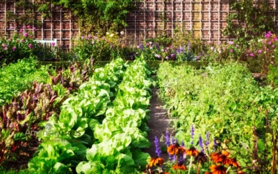 Edible Landscaping: Create a Beautiful, Functional Garden