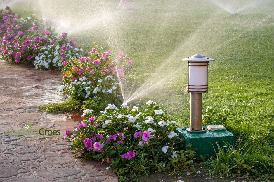 Protect Your Kentucky Lawn and Garden During This Week’s Extreme Heat